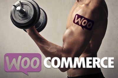 woocommerce lyon